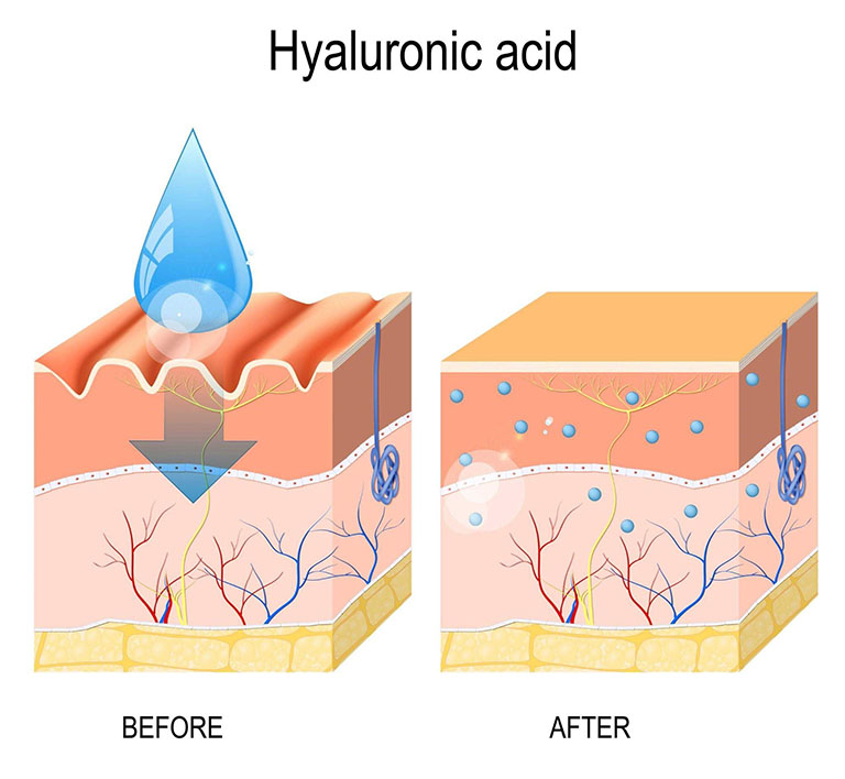 hyaluronic acid có tác dụng gì